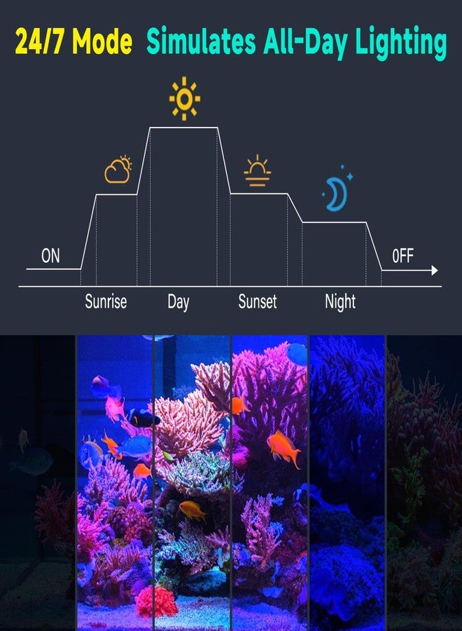 fishkeeper Clip On 24/7 Saltwater Aquarium LED Light, 8W Reef Lights for Coral DIY Color/Brightness Fish Tank Light with Timer for Coral Marine Tank Memory Function - Image 5